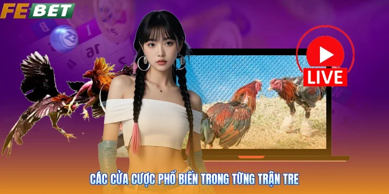 Các cửa cược phổ biến trong từng trận tre
