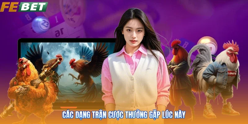 Các dạng trận cược thường gặp lúc này
