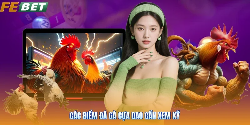 Các điểm đá gà cựa dao cần xem kỹ