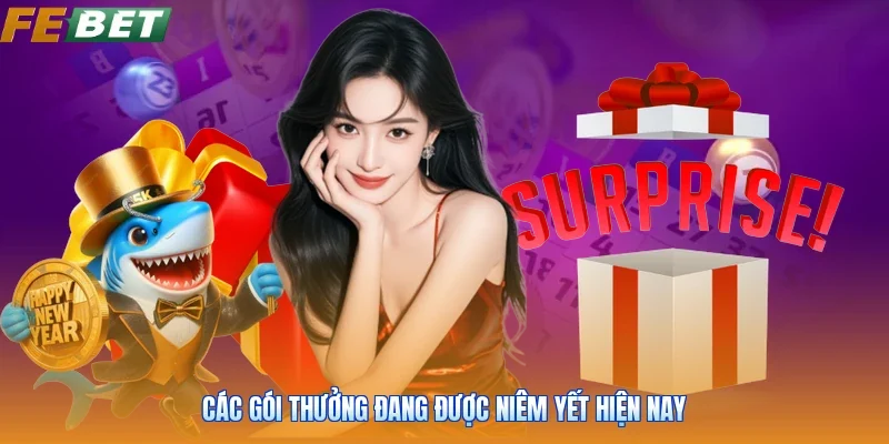 Các gói thưởng đang được niêm yết hiện nay