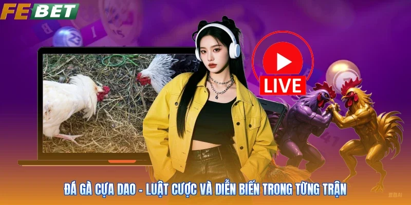 Đá Gà Cựa Dao - Luật Cược Và Diễn Biến Trong Từng Trận