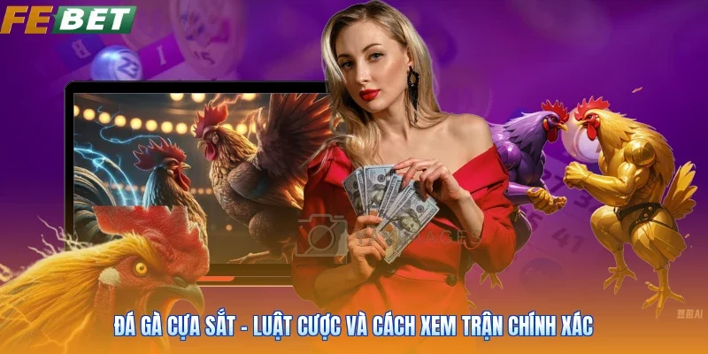 Đá Gà Cựa Sắt - Luật Cược Và Cách Xem Trận Chính Xác