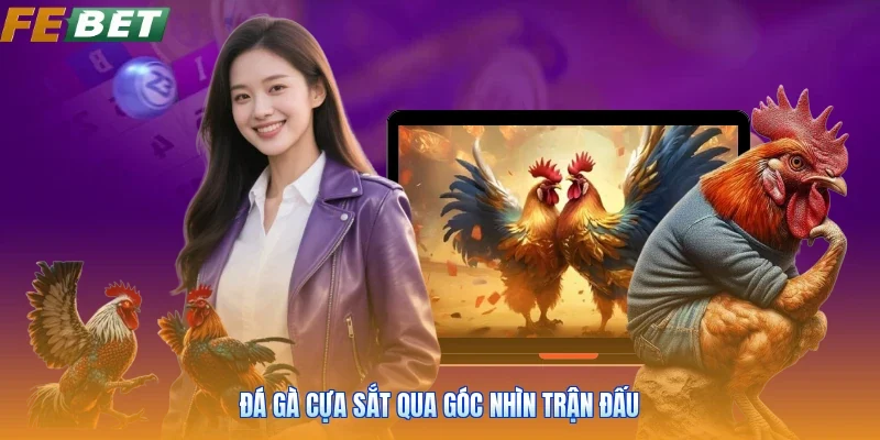 Đá gà cựa sắt qua góc nhìn trận đấu