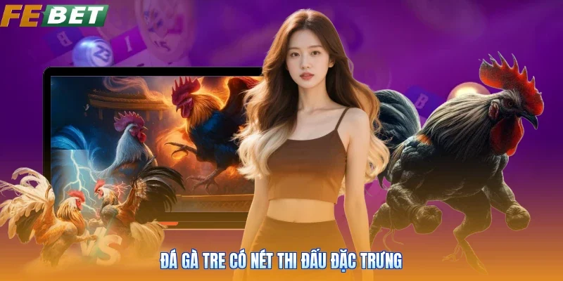 Đá gà tre có nét thi đấu đặc trưng