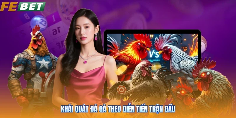 Khái quát đá gà theo diễn tiến trận đấu