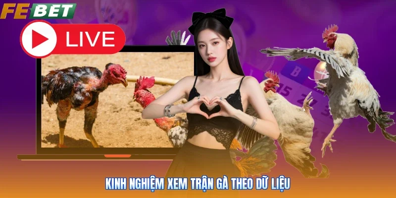 Kinh nghiệm xem trận gà theo dữ liệu