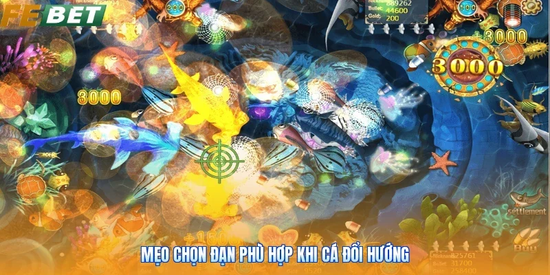 Mẹo chọn đạn phù hợp khi cá đổi hướng