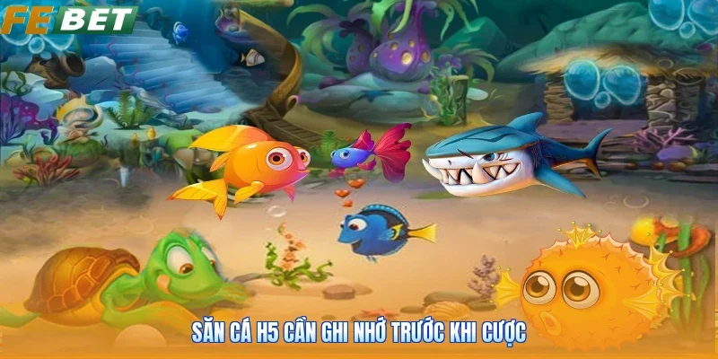 Săn cá h5 cần ghi nhớ trước khi cược