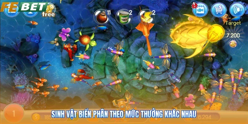 Sinh vật biển phân theo mức thưởng khác nhau