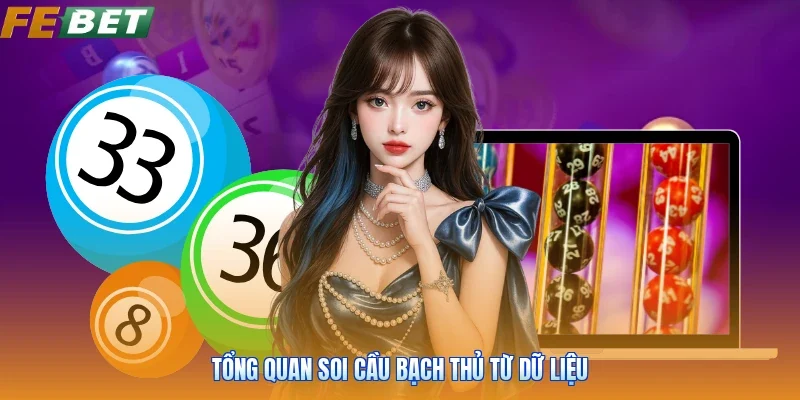 Tổng quan soi cầu bạch thủ từ dữ liệu
